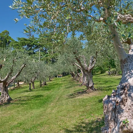 Cason Degli Ulivi-apt Marine *