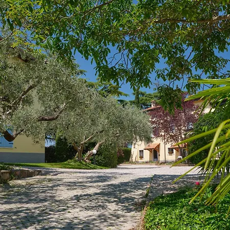 Cason Degli Ulivi-apt Marine Rivoli Veronese